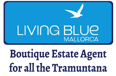 Living Blue Real Estate