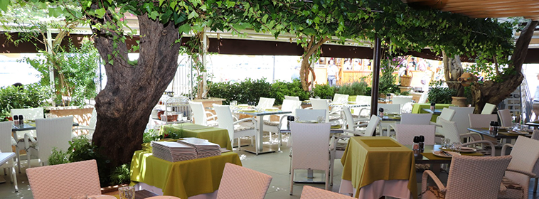 Restaurant Ses Oliveres