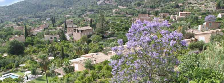 Fincas Biniaraix